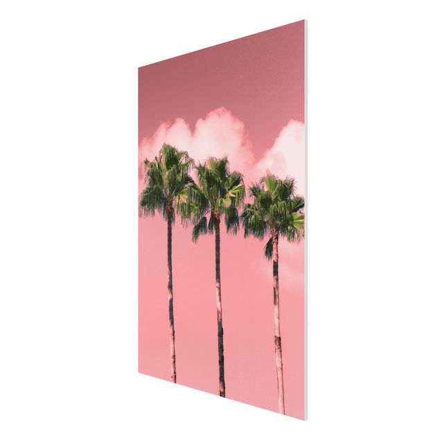 Print on forex - Palm Trees Against Sky Pink