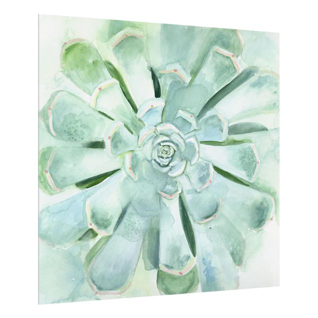 Glass Splashback - Succulent Watercolor Bright - Square 1:1