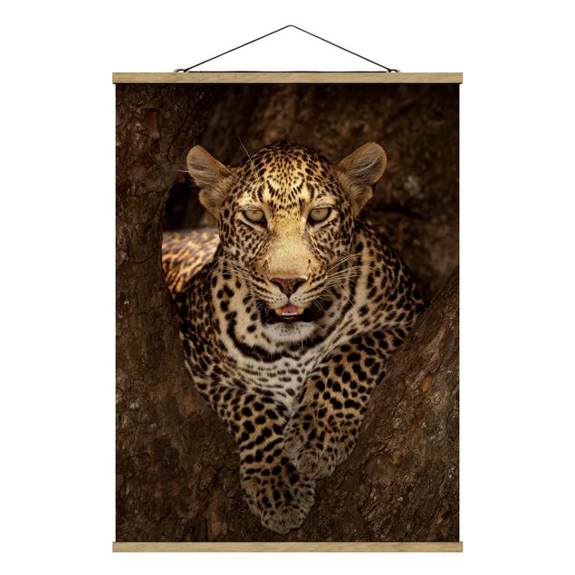 Fabric print with poster hangers - Leopard Resting On A Tree