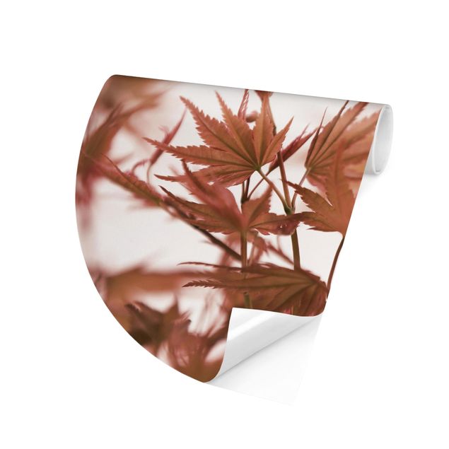 Self-adhesive round wallpaper - Maple Leaf In Autumn Sun