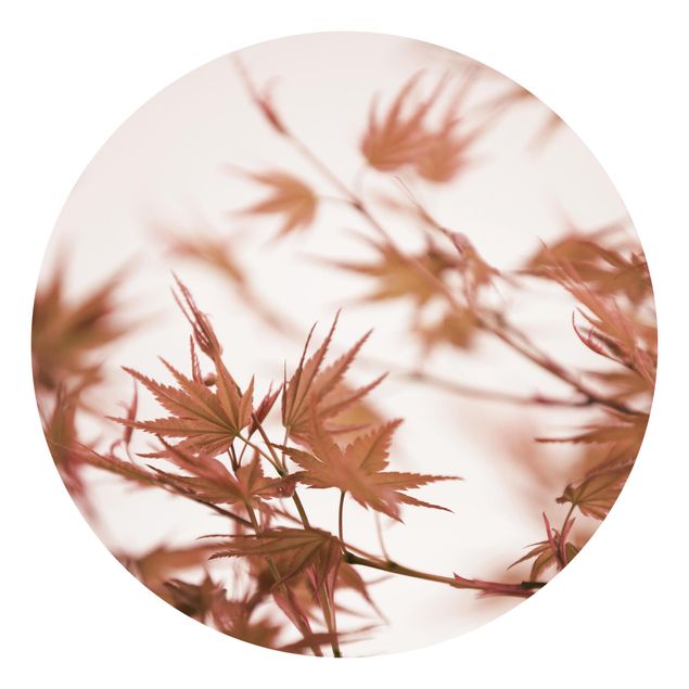 Self-adhesive round wallpaper - Maple Leaf In Autumn Sun