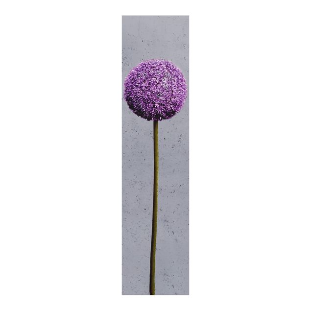 Sliding panel curtain - Allium Round-Headed Flower