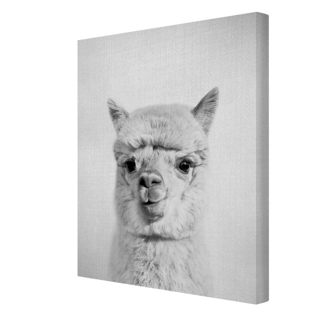 Canvas print - Alpaca Alfred Black And White - Portrait format 3:4