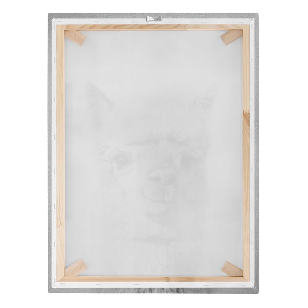 Canvas print - Alpaca Alfred Black And White - Portrait format 3:4