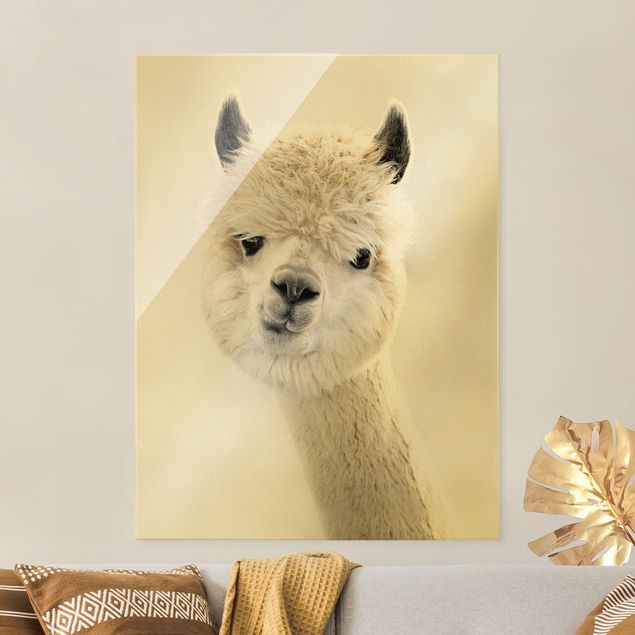 Glass print - Alpaca Portrait - Portrait format