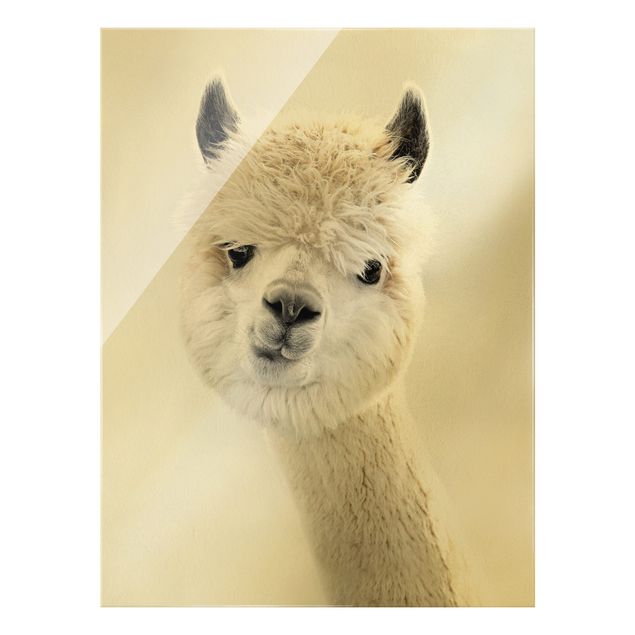 Glass print - Alpaca Portrait - Portrait format