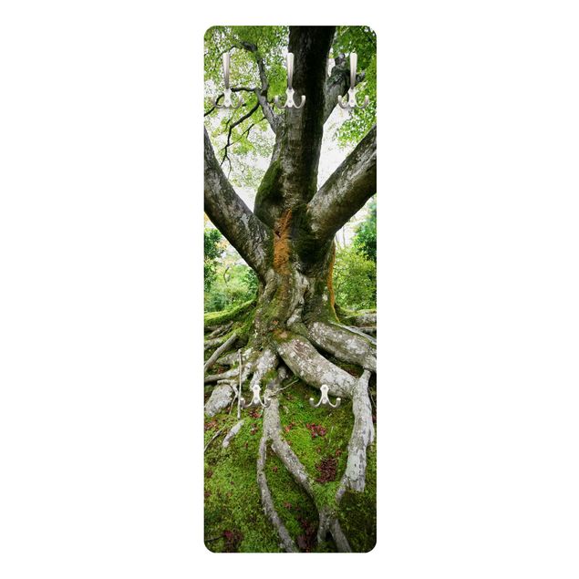Coat rack - Old Tree
