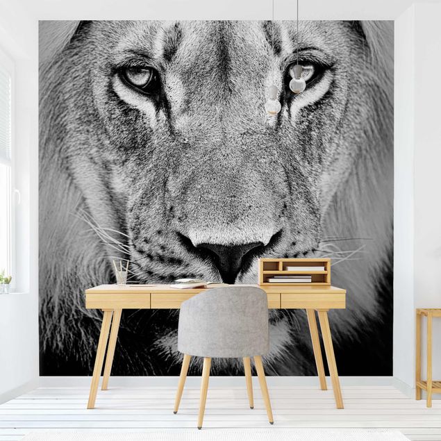 Wallpaper - Old Lion