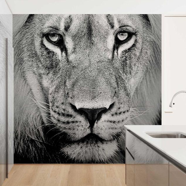 Wallpaper - Old Lion