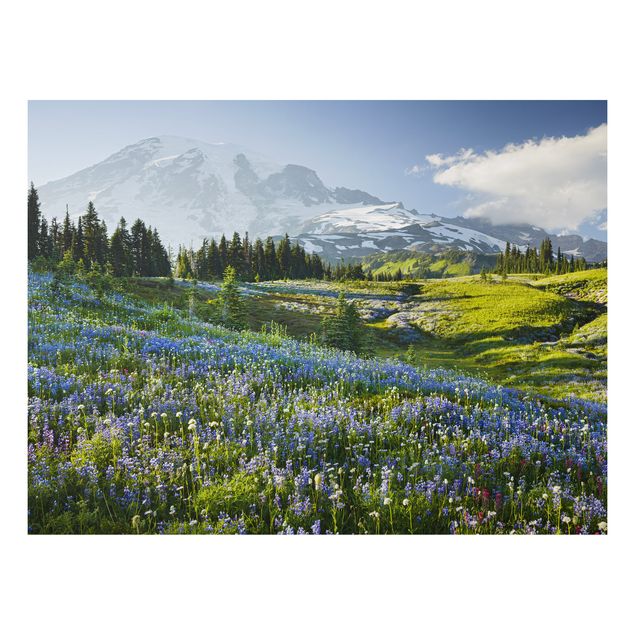 Print on aluminium - Mountain Meadow With Blue Flowers in Front of Mt. Rainier