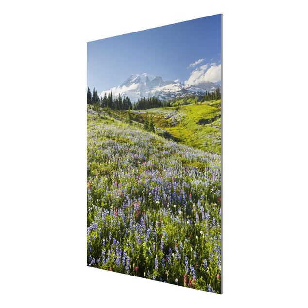 Print on aluminium - Mountain Meadow With Red Flowers in Front of Mt. Rainier