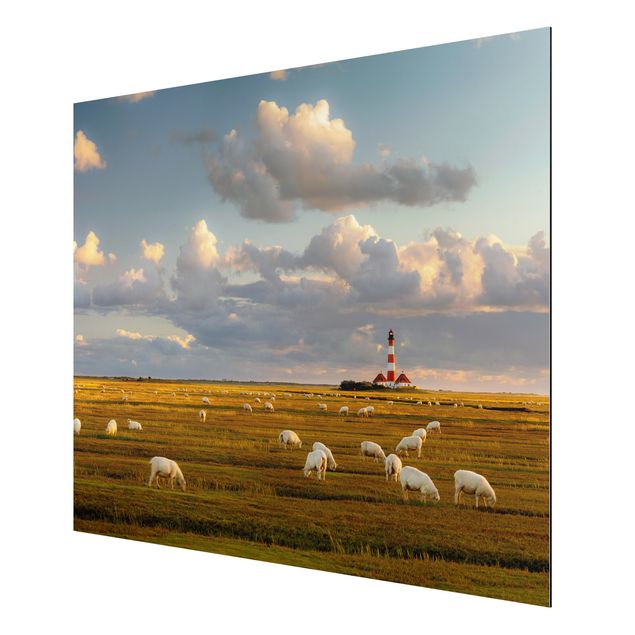 Print on aluminium - North Sea Lighthouse With Flock Of Sheep