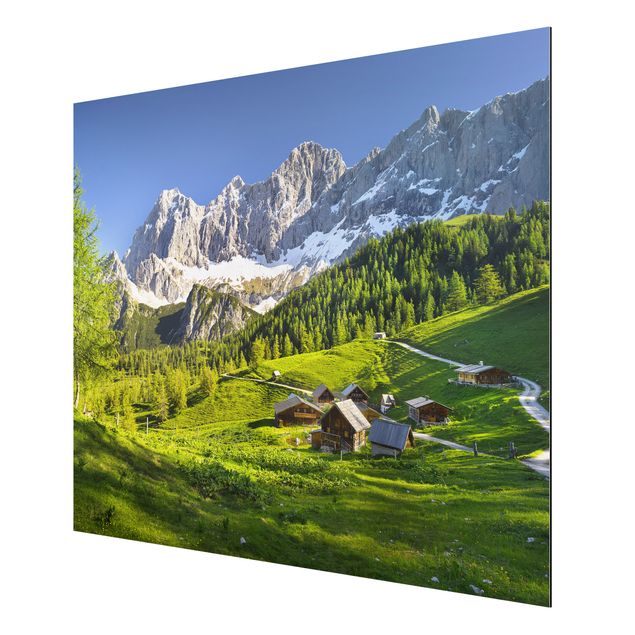 Print on aluminium - Styria Alpine Meadow