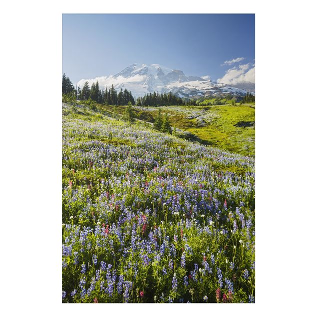 Print on aluminium - Mountain Meadow With Red Flowers in Front of Mt. Rainier