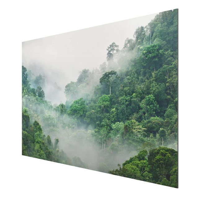 Print on aluminium - Jungle In The Fog