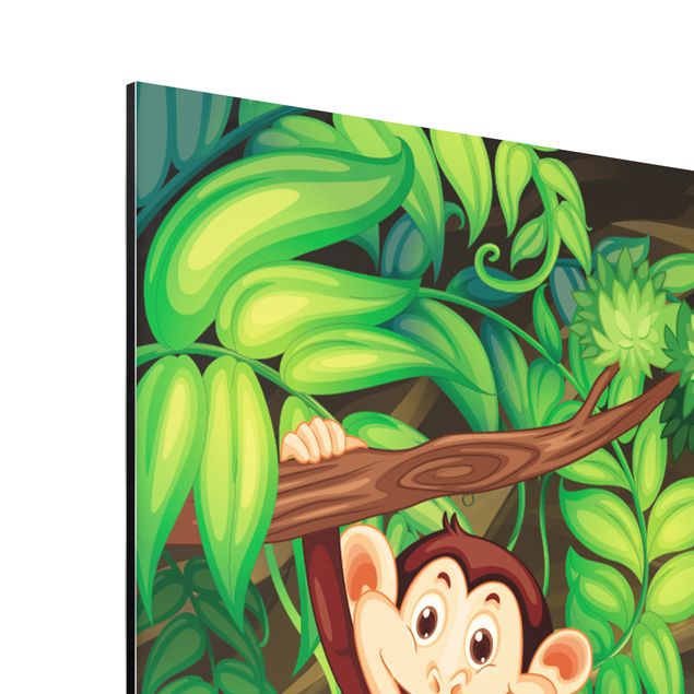 Print on aluminium - Jungle Monkeys