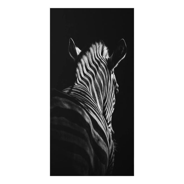 Aluminium dibond Dark Zebra Silhouette