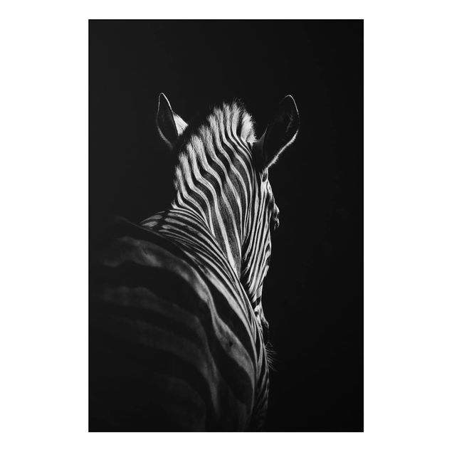 Aluminium dibond Dark Zebra Silhouette