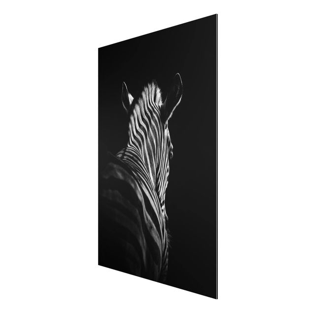 Print on aluminium - Dark Zebra Silhouette