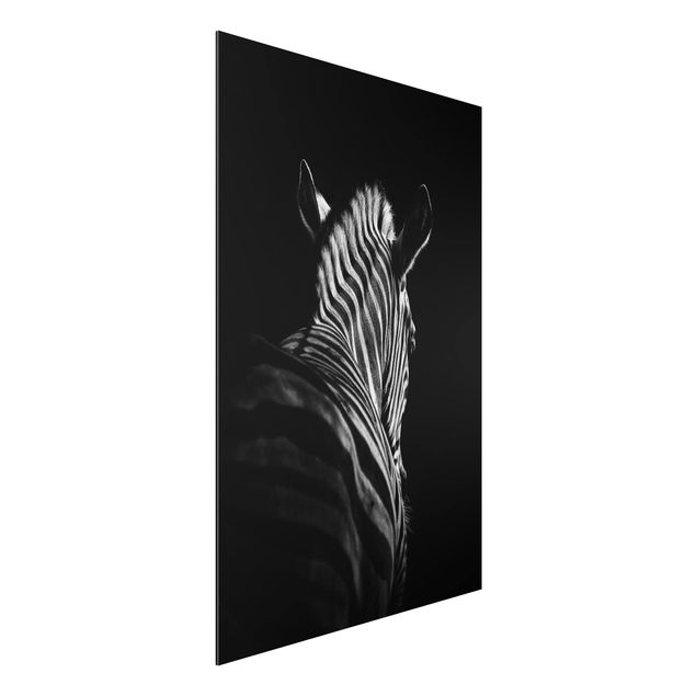 Print on aluminium - Dark Zebra Silhouette