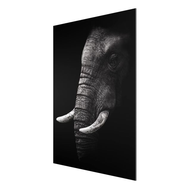 Print on aluminium - Dark Elephant Portrait