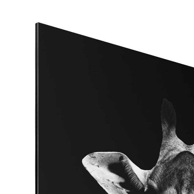Print on aluminium - Dark Giraffe Portrait