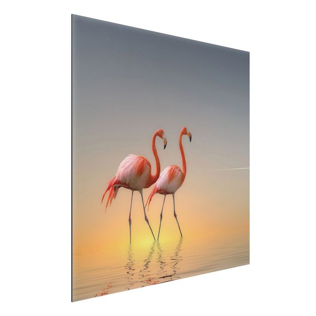 Aluminium dibond Flamingo Love