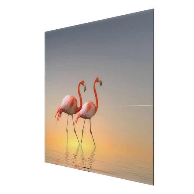 Print on aluminium - Flamingo Love