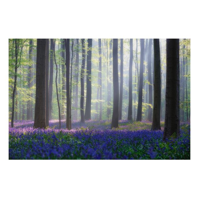 Print on aluminium - Spring Day In The Forest