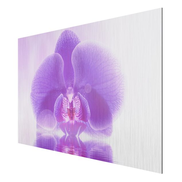 Print on aluminium - Purple Orchid On Water