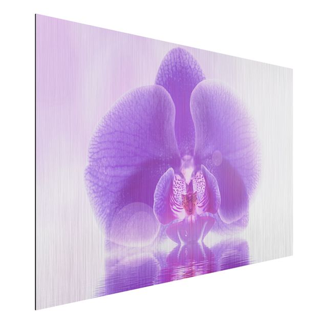 Alu dibond Purple Orchid On Water