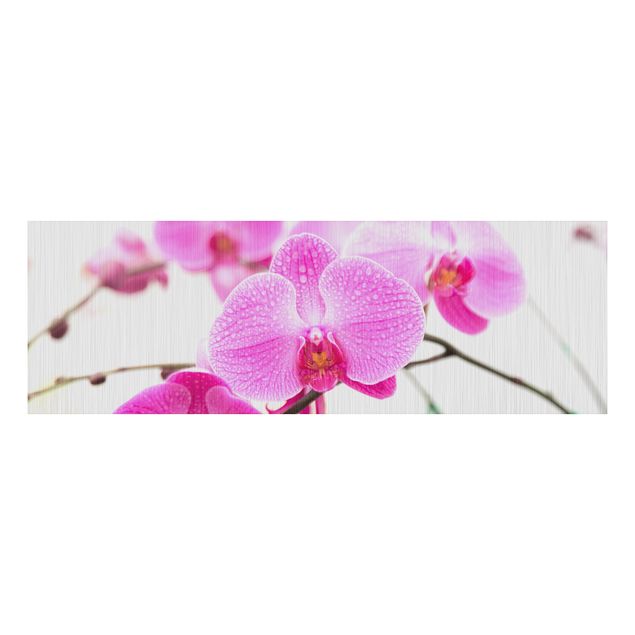 Print on aluminium - Close-Up Orchid