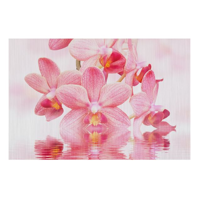 Print on aluminium - Light Pink Orchid On Water