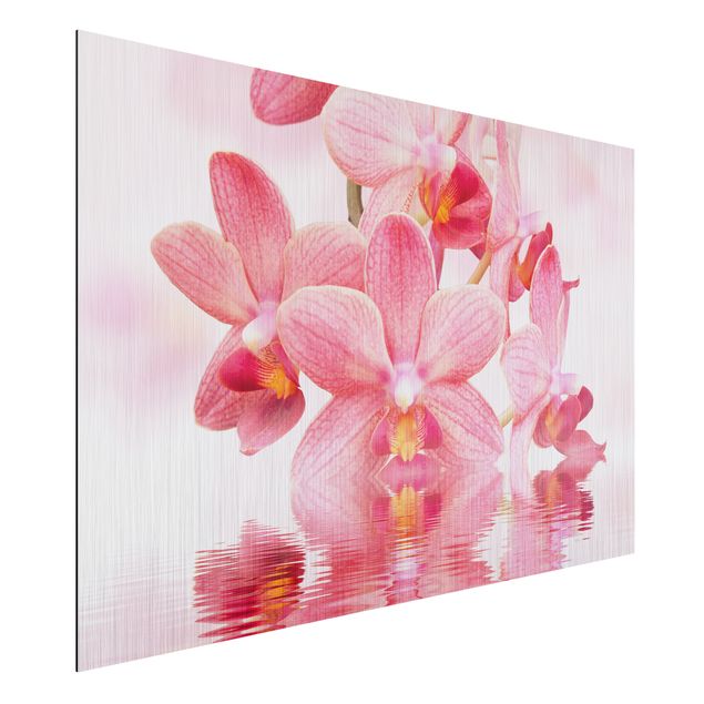 Aluminium dibond Light Pink Orchid On Water