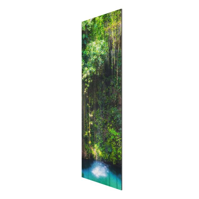 Print on aluminium - Hanging Roots Of Ik-Kil Cenote
