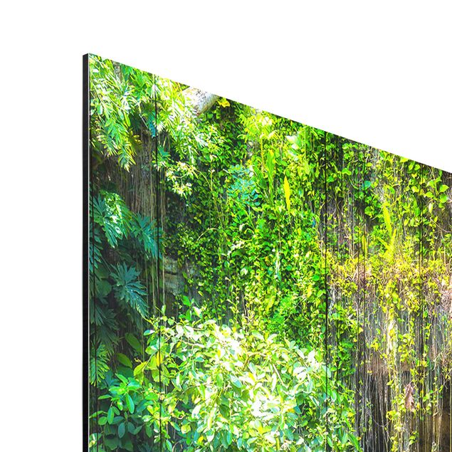 Print on aluminium - Hanging Roots Of Ik-Kil Cenote