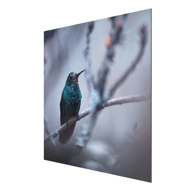 Print on aluminium - Hummingbird In Winter