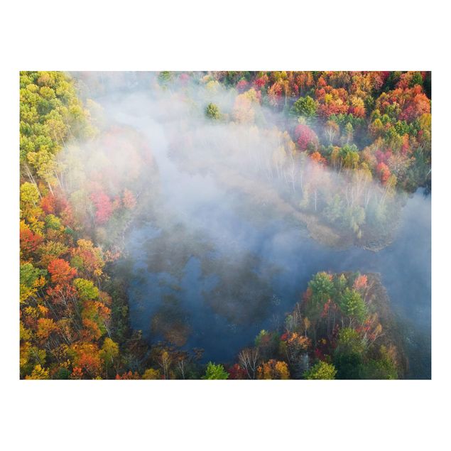 Dibond Aerial View - Autumn Symphony