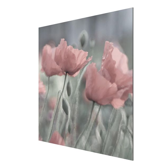 Print on aluminium - Picturesque Poppy