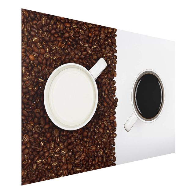 Dibond Caffee Latte