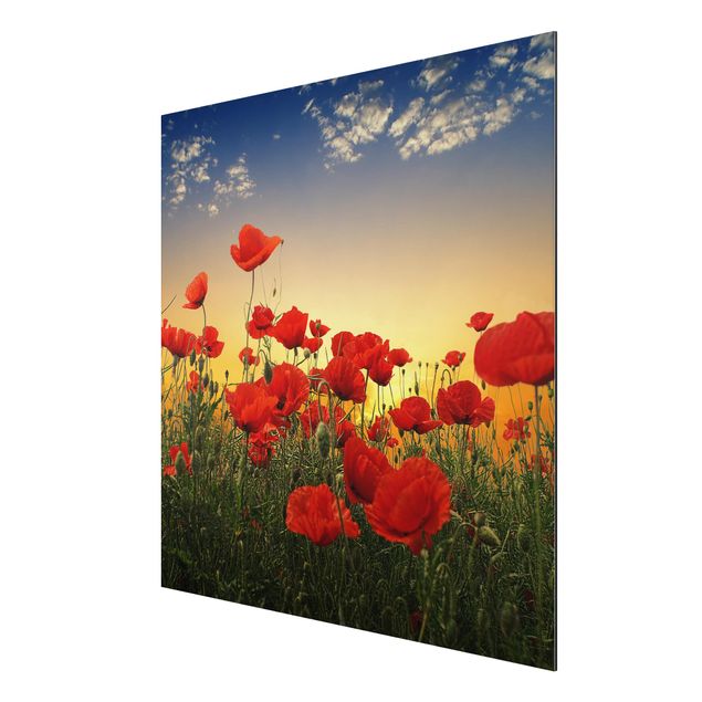 Print on aluminium - Poppy Field In Sunset