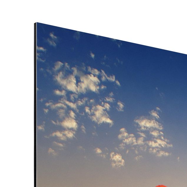 Print on aluminium - Poppy Field In Sunset
