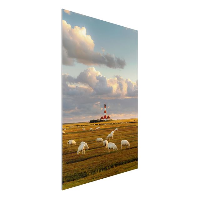 Alu dibond North Sea Lighthouse With Flock Of Sheep