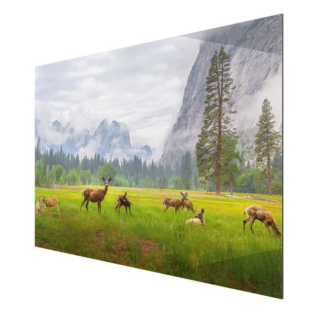 Print on aluminium - Deer In The Mountains