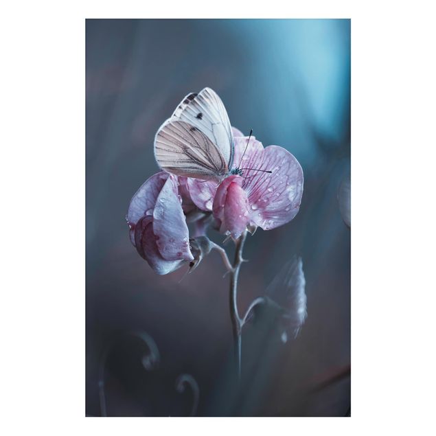 Print on aluminium - Butterfly In The Rain