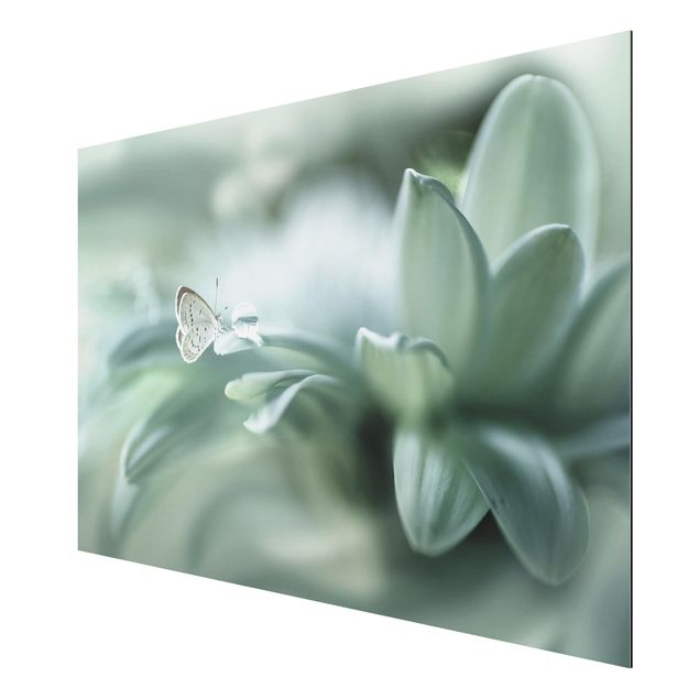 Print on aluminium - Butterfly And Dew Drops In Pastel Green