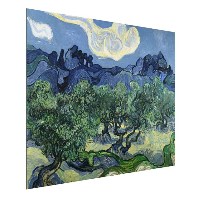 Dibond Vincent Van Gogh - Olive Trees