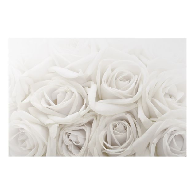 Print on aluminium - White Roses