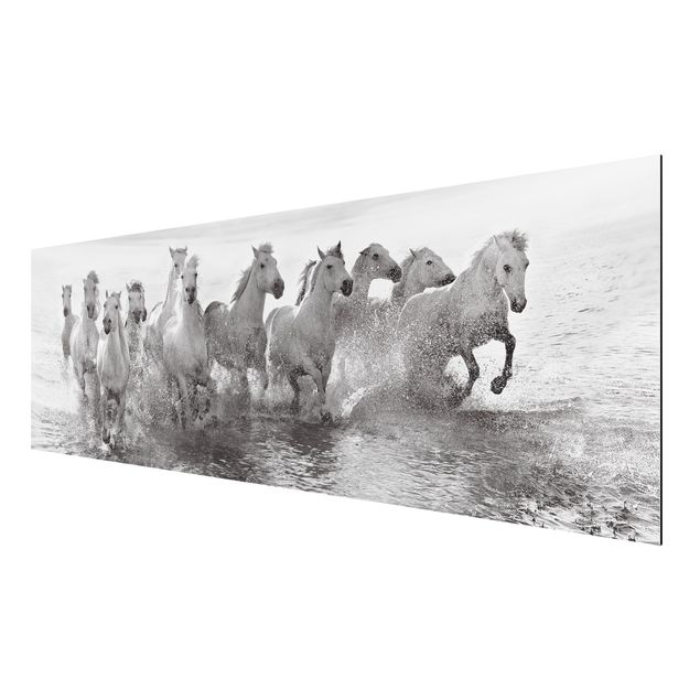 Print on aluminium - White Horses In The Ocean