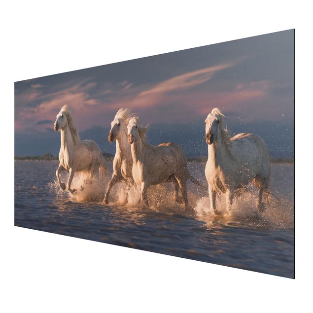 Print on aluminium - Wild Horses In Kamargue